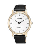 Đồng Hồ Citizen Nam AR1133-23A Quartz