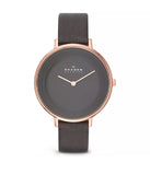 Đồng Hồ Skagen Nữ SKW2216 Quartz